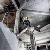 Metabo 600767500 kombimłotek KHEV 11-52 BL 18,8 J 1500 W, walizka