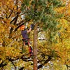 Metabo 601595850 zestaw MS 18 LTX BL 25 Pilarka łańcuchowa akumulatorowa: ogólne, bez akumulatora