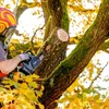 Metabo 601595900 pilarka łańcuchowa MS 18 LTX BL 25 Pilarka łańcuchowa akumulatorowa SET 18 V, 1×4,0 Ah