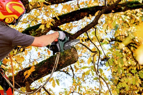 Metabo 601595900 pilarka łańcuchowa MS 18 LTX BL 25 Pilarka łańcuchowa akumulatorowa SET 18 V, 1×4,0 Ah
