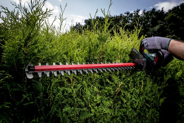 Metabo 601718850 akumulatorowe nożyce do żywopłotu HS 18 LTX 55 18 V, bez akumulatora