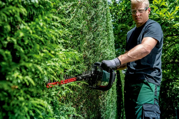 Metabo 601722850 akumulatorowe nożyce do żywopłotu HS 18 LTX BL 55 18 V, bez akumulatora
