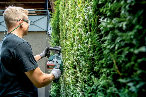 Metabo 601723850 akumulatorowe nożyce do żywopłotu HS 18 LTX BL 65 18 V, bez akumulatora