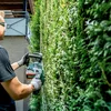 Metabo 601724850 akumulatorowe nożyce do żywopłotu HS 18 LTX BL 75 18 V, bez akumulatora