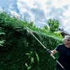 Metabo 601726850 przystawka - nożyce do żywopłotu MA-HS 50, bez akumulatora
