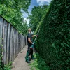 Metabo 601726850 przystawka - nożyce do żywopłotu MA-HS 50, bez akumulatora