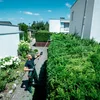 Metabo 601726850 przystawka - nożyce do żywopłotu MA-HS 50, bez akumulatora