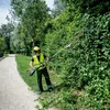Metabo 601726850 przystawka - nożyce do żywopłotu MA-HS 50, bez akumulatora