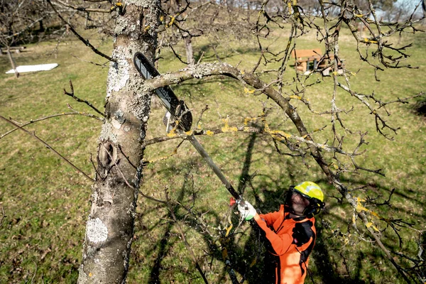 Metabo 601727850 przystawka - podkrzesywarka MA-MS 25, bez akumulatora