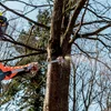 Metabo 601727850 przystawka - podkrzesywarka MA-MS 25, bez akumulatora