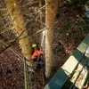 Metabo 601727850 przystawka - podkrzesywarka MA-MS 25, bez akumulatora