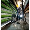 Metabo 602015000 odkurzacz uniwersalny ASA 30 L PC Inox