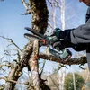 Metabo 691229000 akumulatorowa pilarka do drewna MS 18 LTX 15 Set 18 V, bez akumulatora